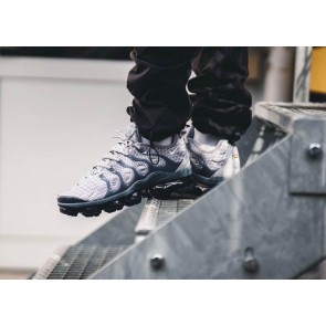 Nike Air VaporMax Plus Wolf Grey Dark Grey